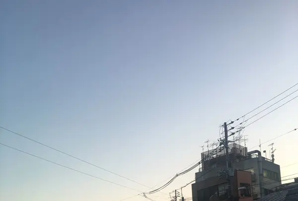 八坂神社の写真・動画_image_134359