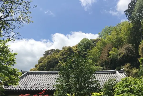 鈴虫寺（華厳寺）の写真・動画_image_134455