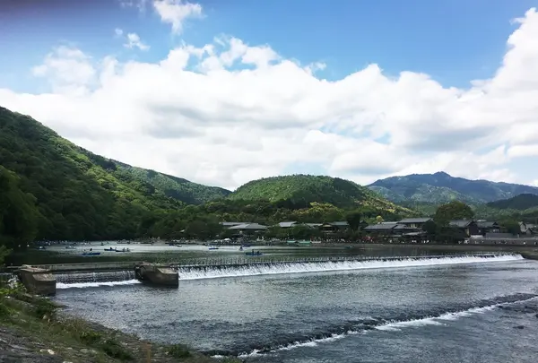 嵐山公園の写真・動画_image_134457