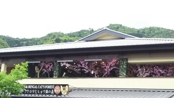 嵐山公園の写真・動画_image_134458