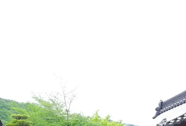 京都駅の写真・動画_image_134472