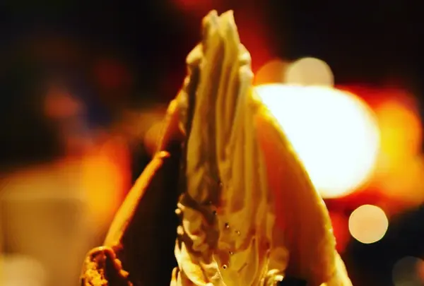 珈琲美学アベの写真・動画_image_134614