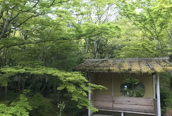 円通院の写真・動画_image_134735