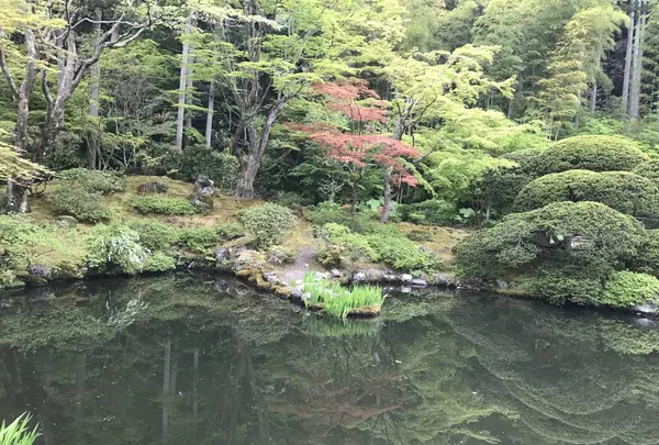 円通院の写真・動画_image_134736