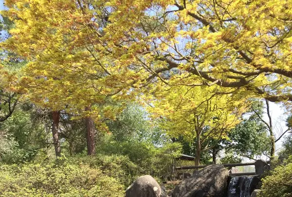 あがたの森公園の写真・動画_image_134793
