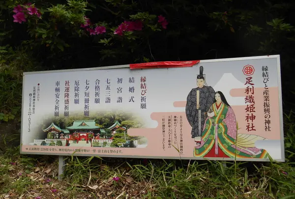 織姫神社の写真・動画_image_134806