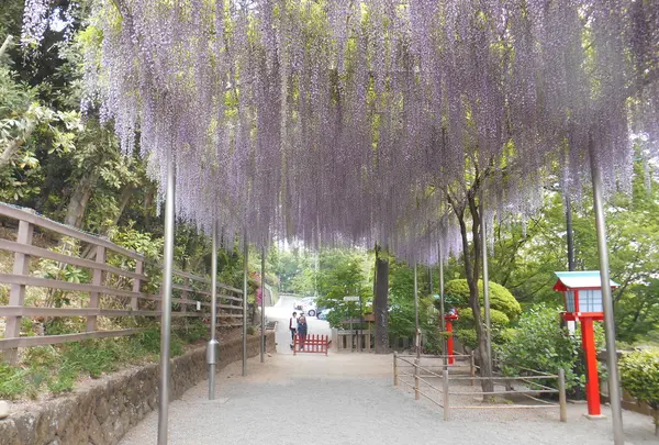 織姫神社の写真・動画_image_134807