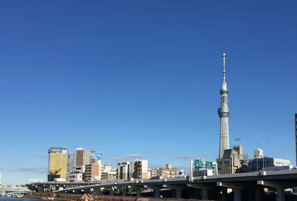 厩橋の写真・動画_image_134894