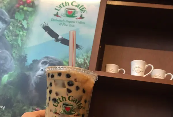 【閉業】Urth Caffe 表参道（アースカフェ）の写真・動画_image_134990