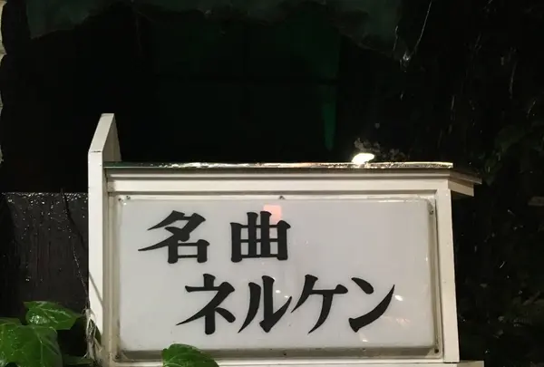 ネルケンの写真・動画_image_135028
