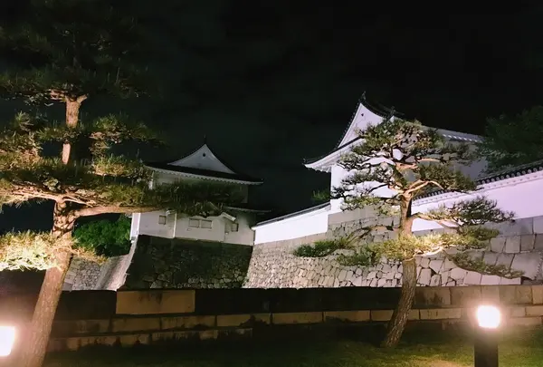 大阪城の写真・動画_image_135097