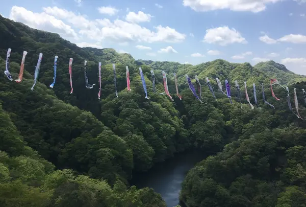 竜神大吊橋の写真・動画_image_135271