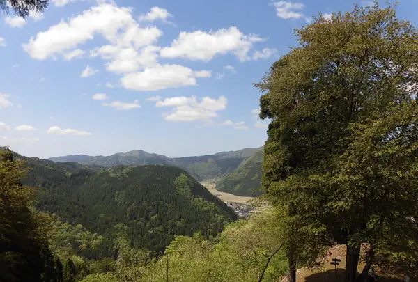 若桜鬼ヶ城跡の写真・動画_image_135284