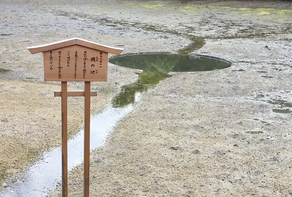 厳島神社の写真・動画_image_135344