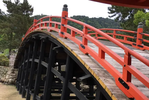 厳島神社の写真・動画_image_135345