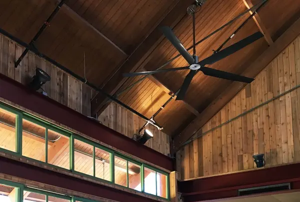 bills Hawaiiの写真・動画_image_135349