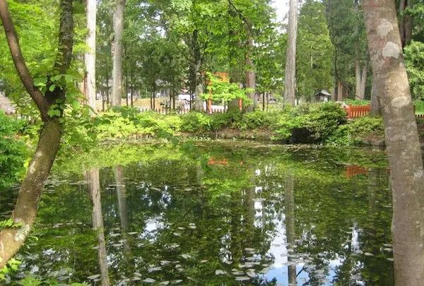 出羽三山神社の写真・動画_image_135621