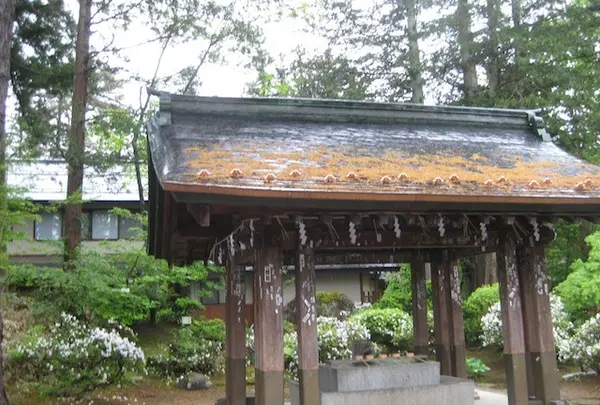 上杉神社の写真・動画_image_135657
