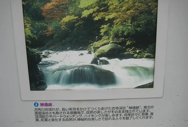 上杉神社の写真・動画_image_135687