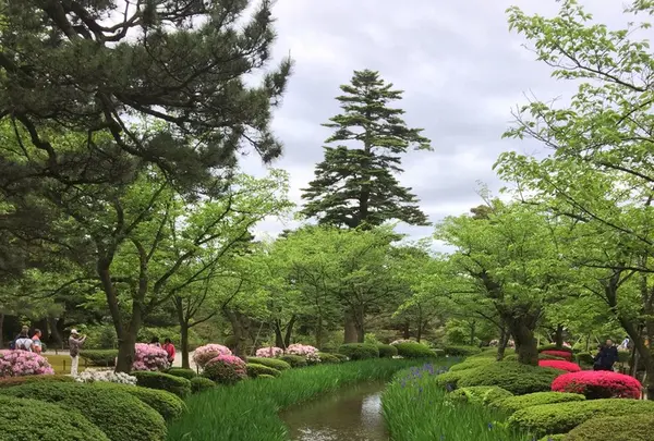 兼六園の写真・動画_image_135718