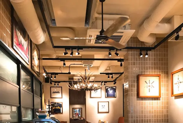 Hummingbirds'hillの写真・動画_image_135720