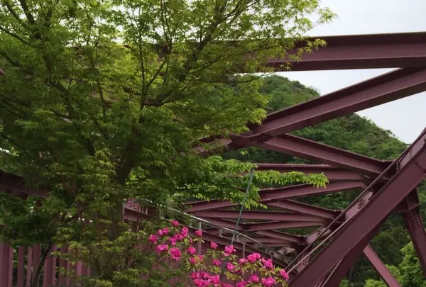 あやとりはしの写真・動画_image_135732