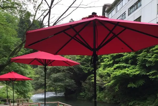 あやとりはしの写真・動画_image_135733