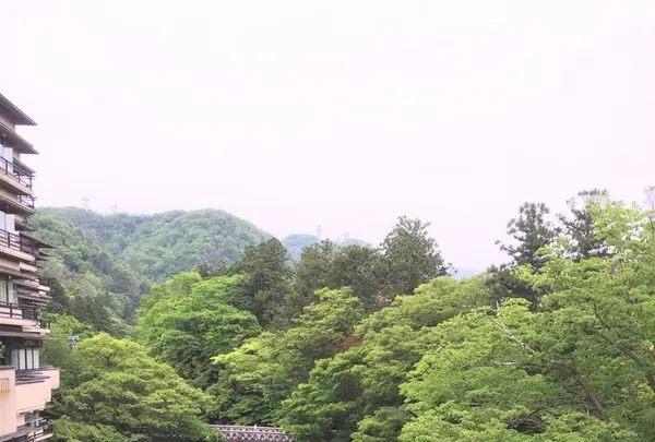 あやとりはしの写真・動画_image_135734