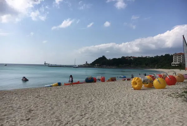 ブセナ海中公園の写真・動画_image_135768