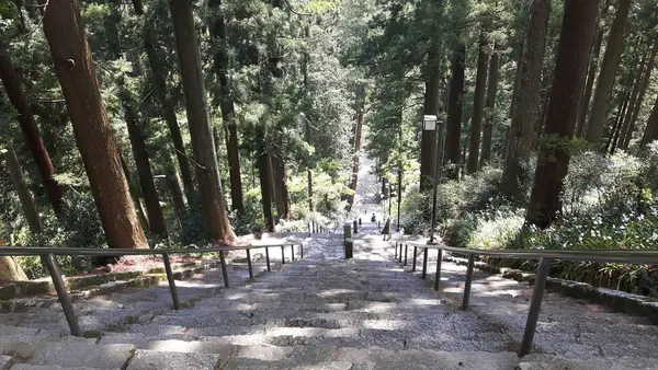 身延山久遠寺の写真・動画_image_135778