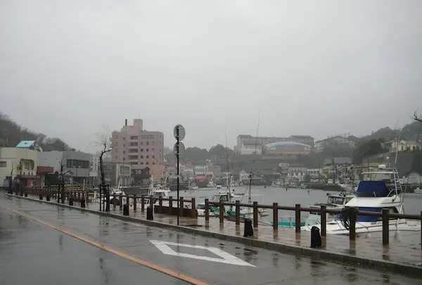 壱岐島の写真・動画_image_135853