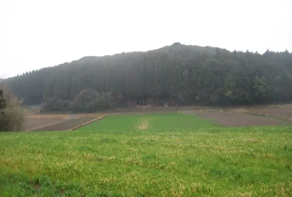 壱岐島の写真・動画_image_135870