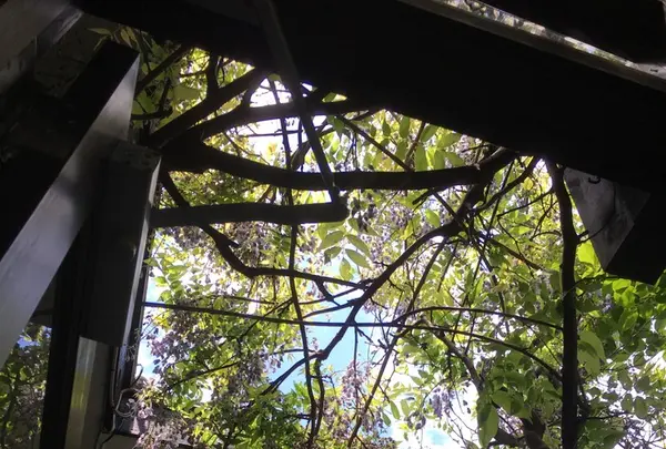 cafe kaeruの写真・動画_image_135968