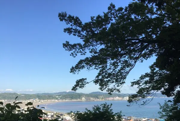 長谷寺の写真・動画_image_135969