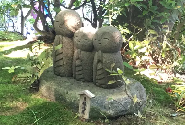 長谷寺の写真・動画_image_135972