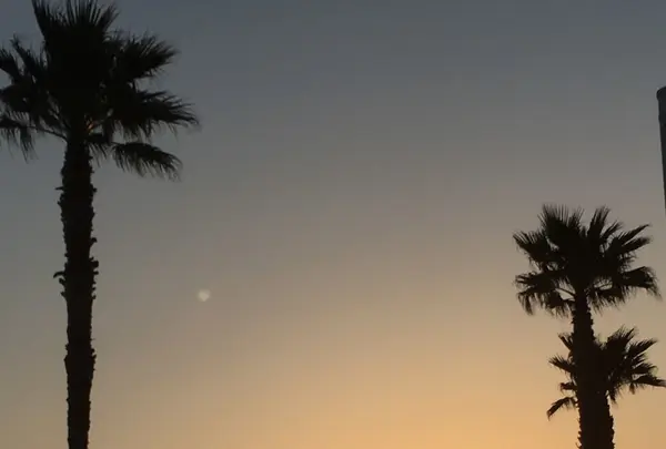 片瀬江ノ島駅の写真・動画_image_135984