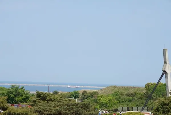 国営ひたち海浜公園の写真・動画_image_136066