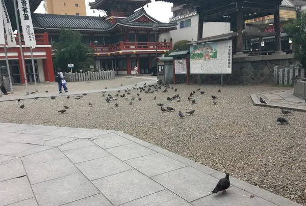 宝生院（大須観音）の写真・動画_image_136079
