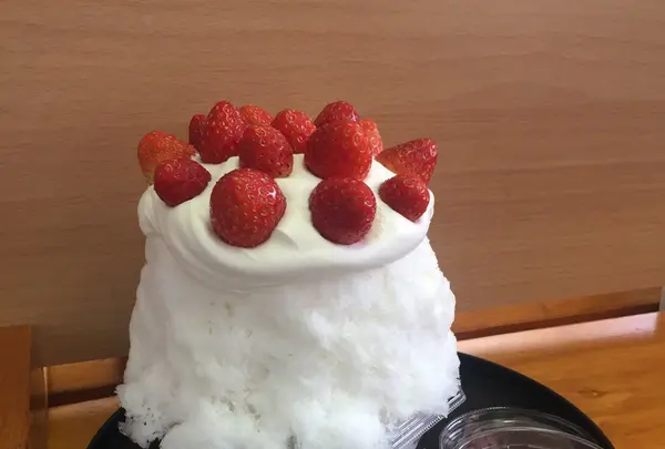 松月氷室（しょうげつひむろ）の写真・動画_image_136124