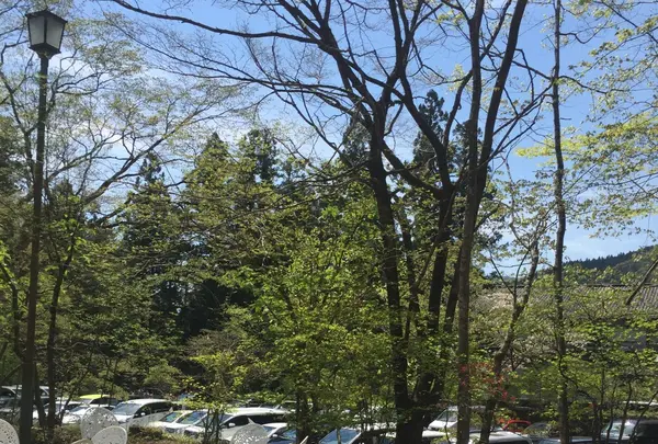 明治の館の写真・動画_image_136126