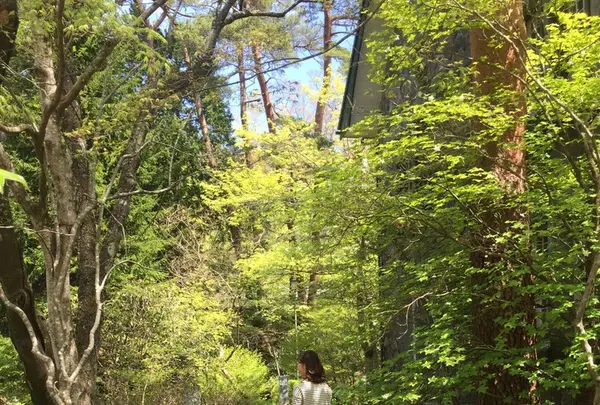 明治の館の写真・動画_image_136127