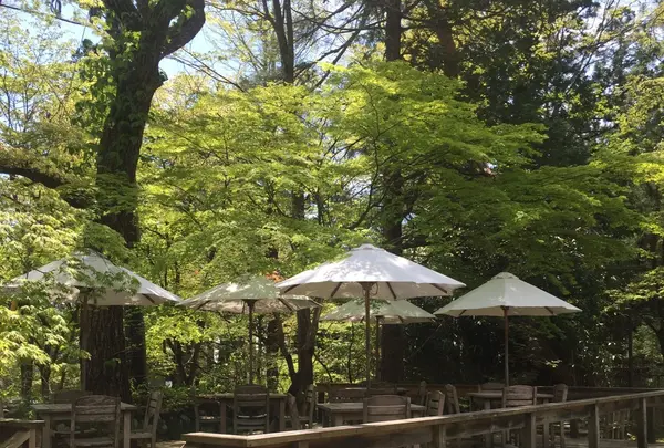 明治の館の写真・動画_image_136128