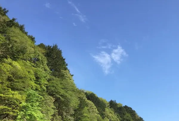 鬼怒川ライン下りの写真・動画_image_136136