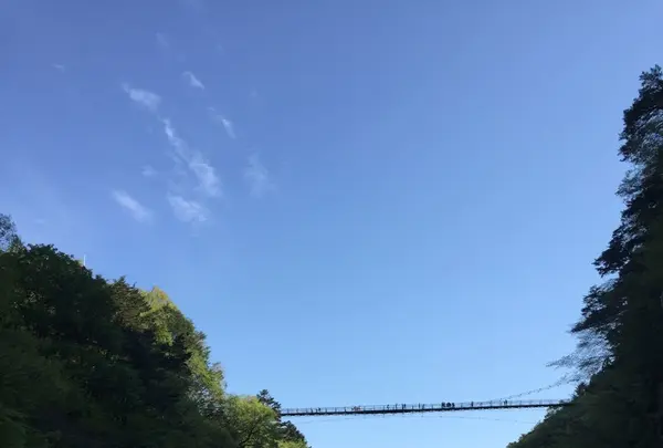 鬼怒川ライン下りの写真・動画_image_136137