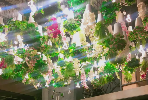 24"7の写真・動画_image_136156