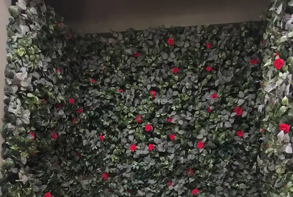 24"7の写真・動画_image_136163