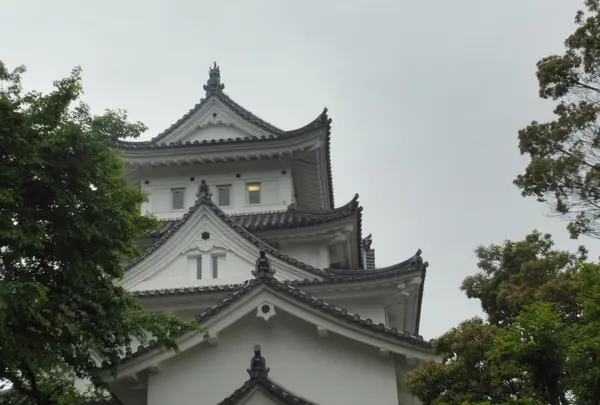 大垣城の写真・動画_image_136259