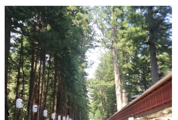 日光東照宮の写真・動画_image_136295