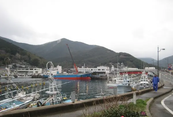 対馬ふるさと伝承館の写真・動画_image_136347
