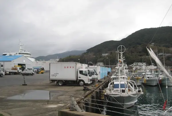 対馬ふるさと伝承館の写真・動画_image_136348